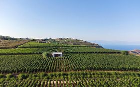 Tenuta Di Castellaro Winery & Resort